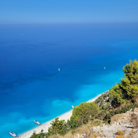 Meet your Posher, Vera - Picture 2 of 15